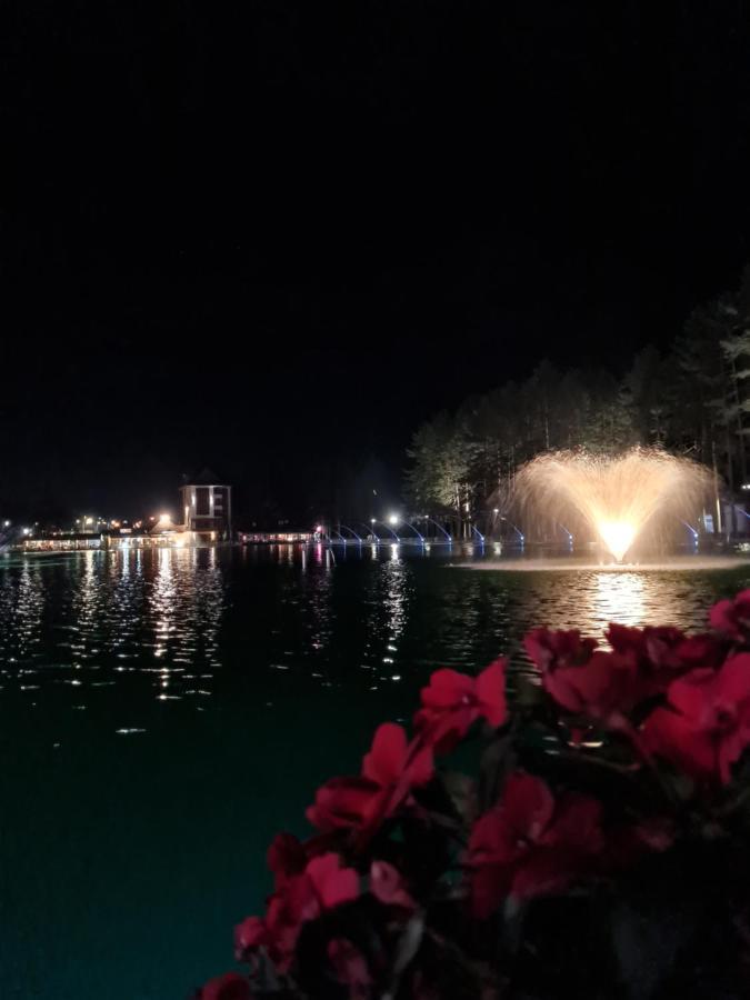 Apartman Stefanovic Vila Darija Lux Zlatibor Dış mekan fotoğraf