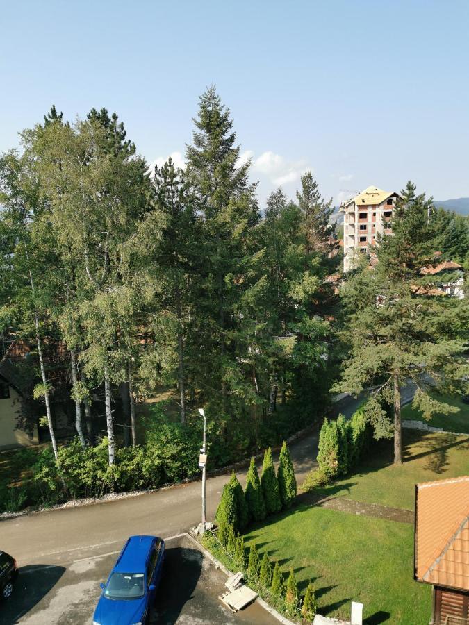 Apartman Stefanovic Vila Darija Lux Zlatibor Dış mekan fotoğraf