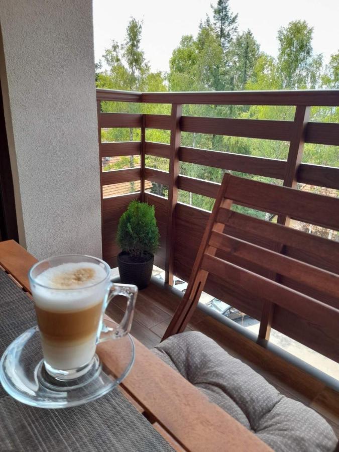 Apartman Stefanovic Vila Darija Lux Zlatibor Dış mekan fotoğraf